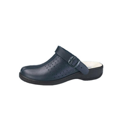 Sabot Basic Economic1