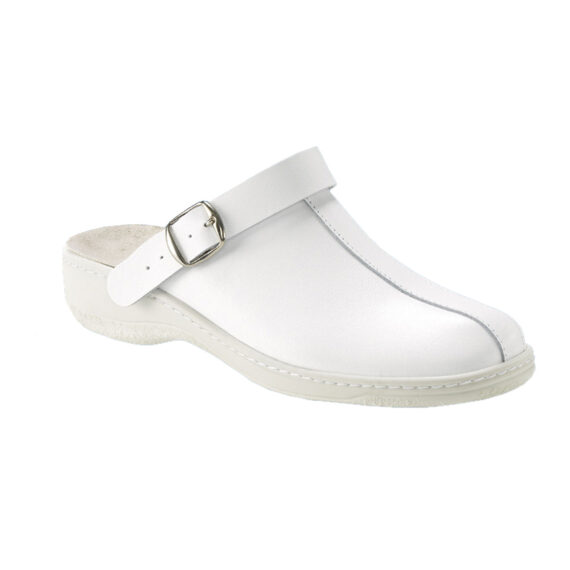 Sabot Basic Economic2