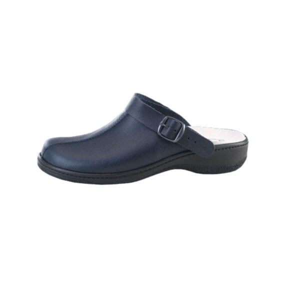 Sabot Basic Economic3